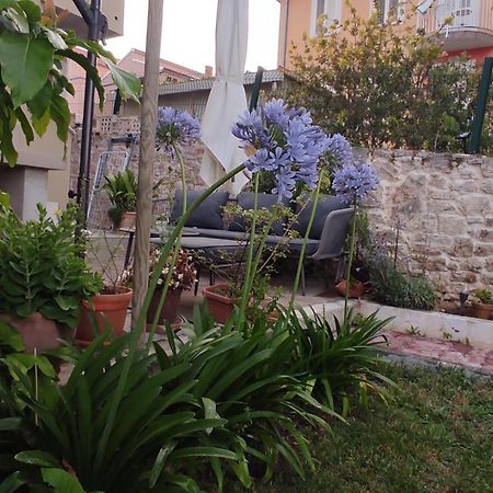 Villa Podvrsina1A Rosa à Preko Extérieur photo