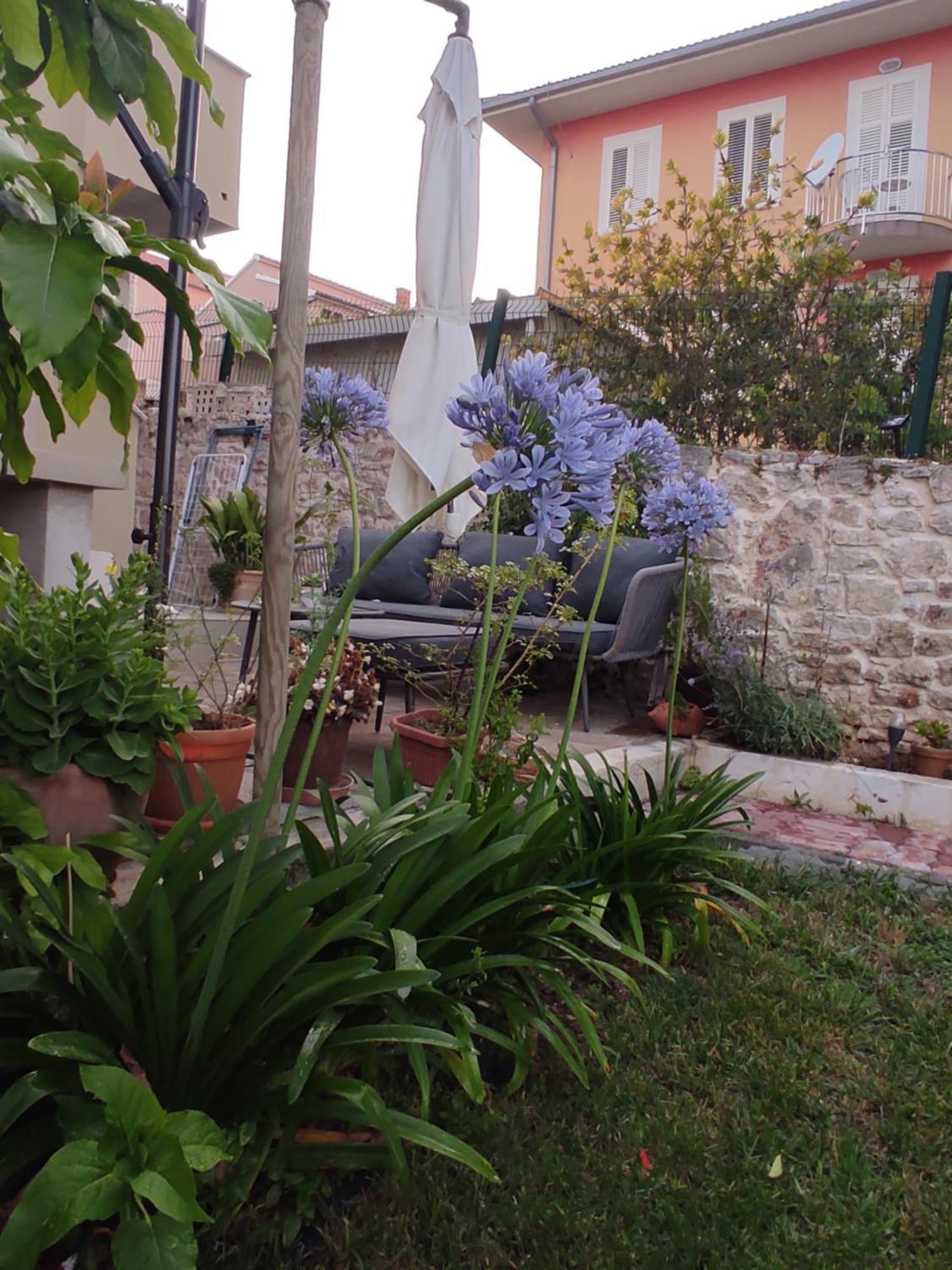 Villa Podvrsina1A Rosa à Preko Extérieur photo